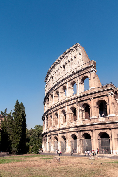 Colosseum Rome - Фото, изображение