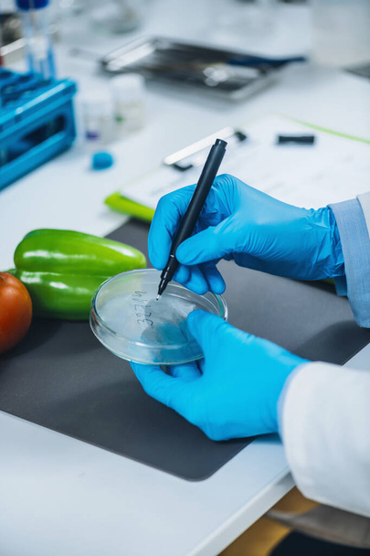 Анализ безопасности и качества пищевых продуктов в специализированной лаборатории микробиологии, микробиолог, работающий с образцами фруктов и овощей - Фото, изображение
