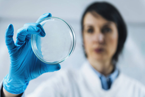Valutazione della Qualità Alimentare nel Laboratorio di Microbiologia, Microbiologo al lavoro, esaminando capsule di Petri con campioni  - Foto, immagini