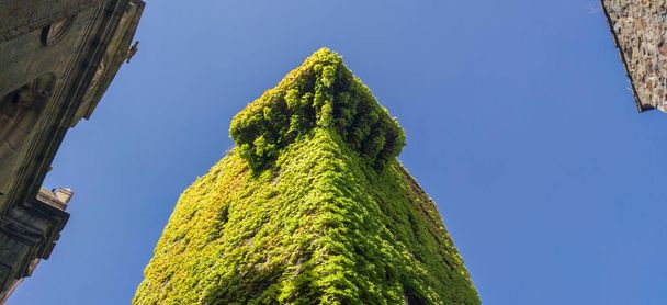 Turm von Sande, mittelalterliches altes Palasthaus mit grünen Virginia-Schlingpflanzen, Caceres, Extremadura, Spanien - Foto, Bild
