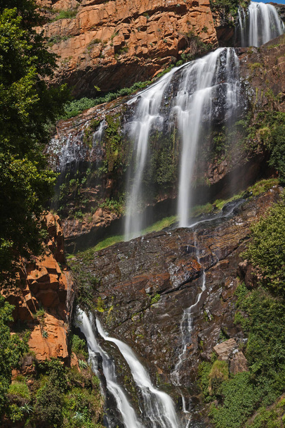 Водоспад у ботанічному саду Вальтера Сісулу в Йоганнесбурзі Південна Африка відомий пара орлів Верро, що гніздяться поруч з ним - Фото, зображення