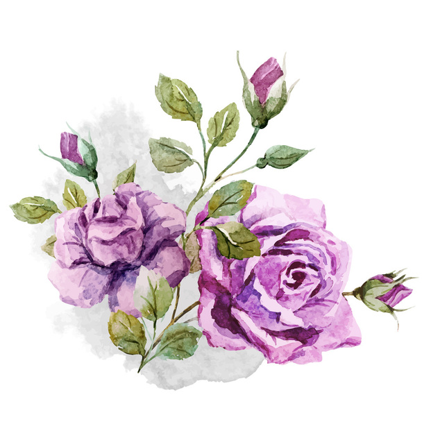 Nice roses - Vector, Image