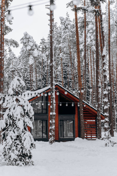 Dom i choinka w zimowym sezonie z pełnym zawinięciem przez śnieg w śnieżnym tle - Zdjęcie, obraz