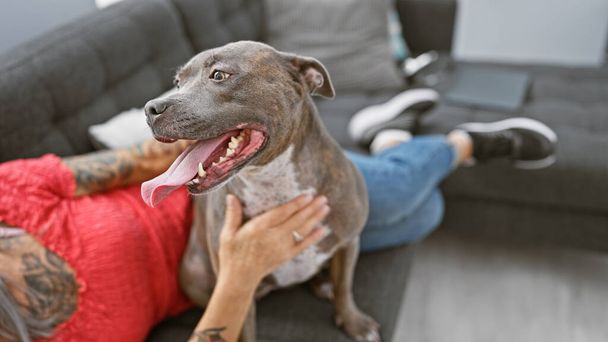 Wzruszająca scena domowa kobiety w średnim wieku, głęboko zakochanej w psie, delikatnie dotykającej swojego leżącego zwierzaka na kanapie w przytulnym salonie - Zdjęcie, obraz