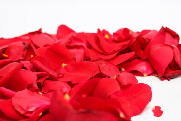 Valentinstag. Zusammensetzung der Blumen. Rundrahmen aus Rosenblüten - Foto, Bild