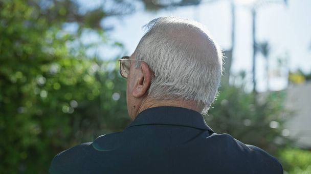 Nenucený portrét zralého bělovlasého staršího muže, který stojí pozpátku a dívá se na svěží zelený park; ukazuje pohled zezadu, odraz životní cesty promáčené přírodou - Fotografie, Obrázek