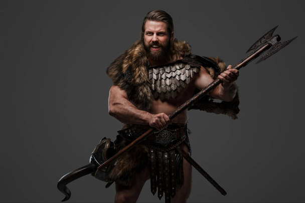 Жестокий, бородатый воин викингов, одетый в мех и легкие доспехи, держа большой топор из двух рук, крича на сером фоне - Фото, изображение