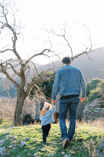 Dad and a little girl are walking along a rocky lawn towards a tree, holding hands. Back view. High quality photo - Photo, Image
