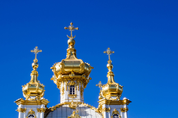 The Grand Palace fountains in the Park of the town of Peterhof. - 写真・画像