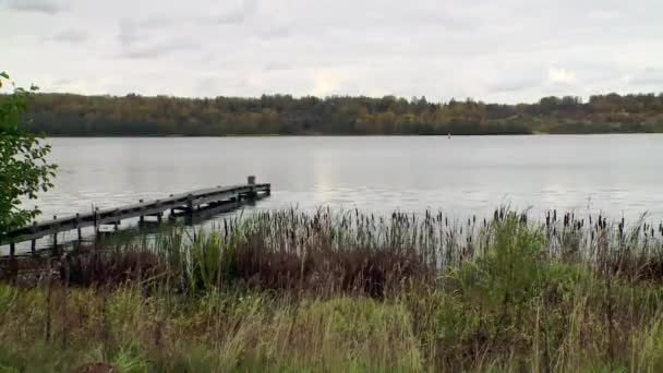 Egy lélegzetelállító őszi jelenet a folyóparton, egy rusztikus, időjárásos fából készült mólóval, amely egy széles, nyugodt folyó hátterében áll az erdő festői vidékén. - Felvétel, videó