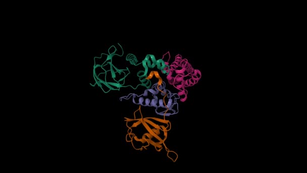 Structuur van Von Hippel-Lindau ziekte tumor suppressor (VHL, groen) -transcriptie elongatiefactor B (EloB, bruin, blauw) -Cullin 2 (Cul2, paars). 3D cartoon en Gaussiaanse oppervlaktemodellen, PDB 4wqo - Video