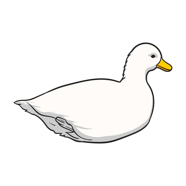 White Duck Clip-art, Απομονωμένο σε λευκό φόντο. - Διάνυσμα, εικόνα