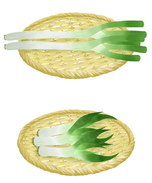 コランダーの緑の玉ねぎのイラストセット - 写真・画像