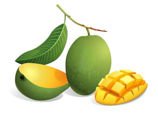 Mango meyve - Vektör, Görsel