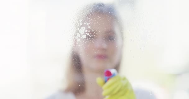 Vrouw, raam en schoonmaken met een ruitenwisser en spray voor hygiëne, glans en helder zicht in huis. Gezicht van een jonge vrouw met een trekker, handschoenen en wasmiddel voor huishoudelijk werk of glas. - Video