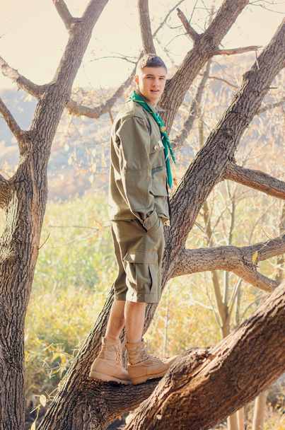 Ritratto di boy scout in piedi sull'albero
 - Foto, immagini