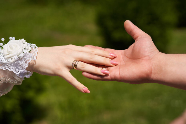 Κοντινό πλάνο των νεόνυμφων που αγγίζουν ο ένας τον άλλον με τα χέρια τους - Φωτογραφία, εικόνα