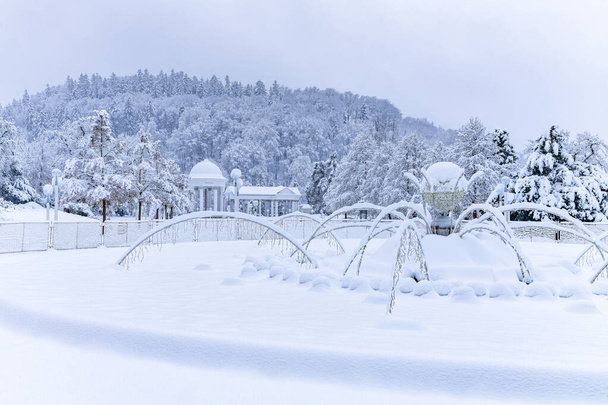 Arka planda Carolina Spring Colonnade (Çek Kolonada) ile karla kaplı şarkı söyleyen çeşme - kaplıca kasabası Marianske Lazne 'nin (Marienbad) - Fotoğraf, Görsel