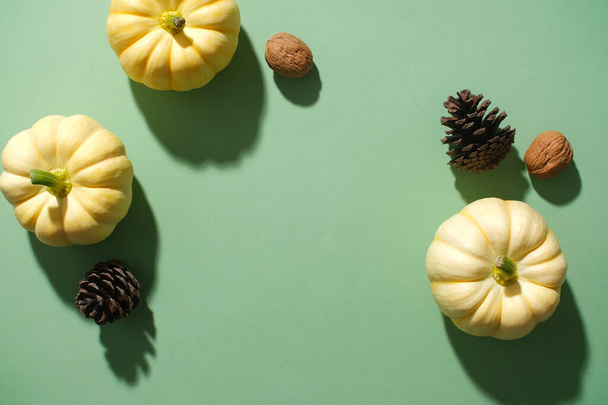 Against the green background, mini pumpkins, dry pine cones and walnuts decorated. Blank space in the middle for design. Top view, minimalist scene for Autumn decoration - Photo, Image