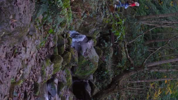 Kot elbiseli bir kadın sırt çantasıyla ormandaki yemyeşil ormanı keşfediyor ve dağ nehri üzerindeki asma köprüde yürüyor. Dikey video. - Video, Çekim