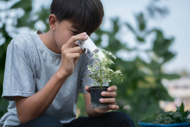 Aziatisch schattig schooljongen houdt mini draagbare microscoop en kijken naar de kleine details van de potplant in zijn hand te bestuderen en te ontspannen door de lens, zachte en selectieve focus. - Foto, afbeelding