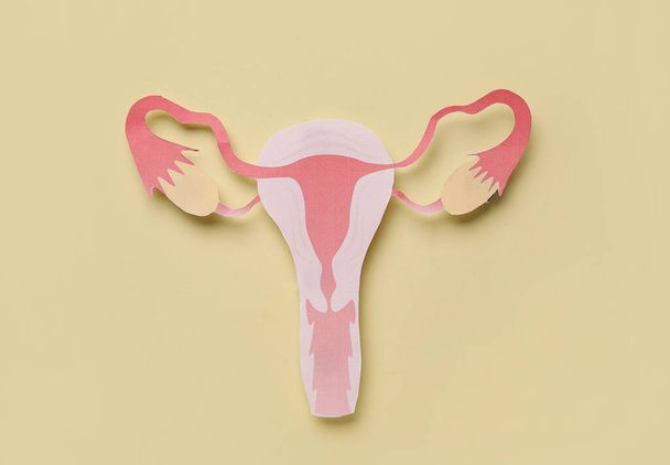 Papier Uterus auf beigem Hintergrund - Foto, Bild