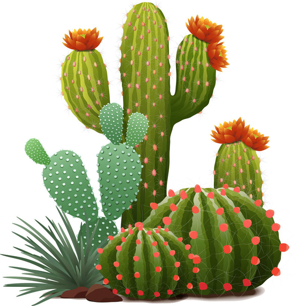 Illustrazione vettoriale realistica della diversa composizione di cactus delle piante d'appartamento con fiori - Vettoriali, immagini