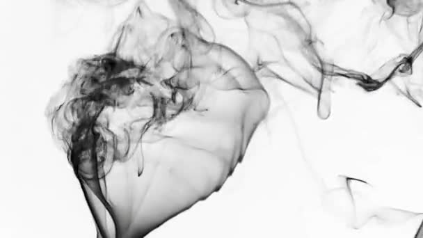 Abstract Fluid Smoke Element - Footage, Video