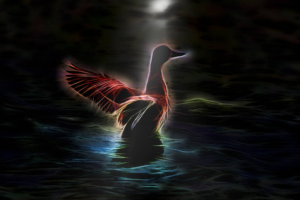 Kachna vynořující se z vody v měsíčním svitu odraz v noci digitálně upravené fotografie - Fotografie, Obrázek