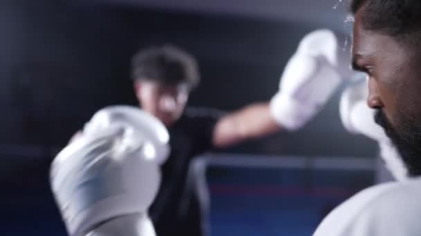 Combatientes enfrentándose en el ring de boxeo, intercambiando patadas y golpes en el entrenamiento, lucha dramática dentro del ring - Imágenes, Vídeo