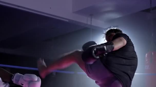 Muay Thai Rivals Ανταλλαγή αγκώνων και Punches στο δραματικά Lit Ring - Πλάνα, βίντεο