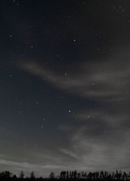 Sterren serenade: De nachtelijke hemel walst met fonkelende sterren boven een stil bos. Onthul de schoonheid van de kosmos in dit betoverende nachtelijke tableau. Nachtelijk gefluister: Een vredige nacht versierd met sterrenstof. - Foto, afbeelding