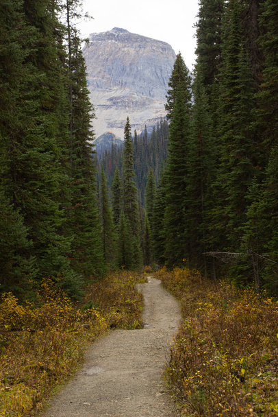 Kanadan Kalliovuorten polkuja pitkin kulkevat tiet - Valokuva, kuva