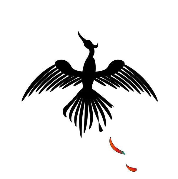 gizemli siyah kuş tüylü ateş - Vektör, Görsel