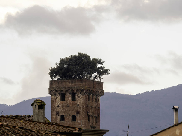 Lucca, Italia - città medievale della Toscana. Vista aerea con Torre Guinigi
. - Foto, immagini