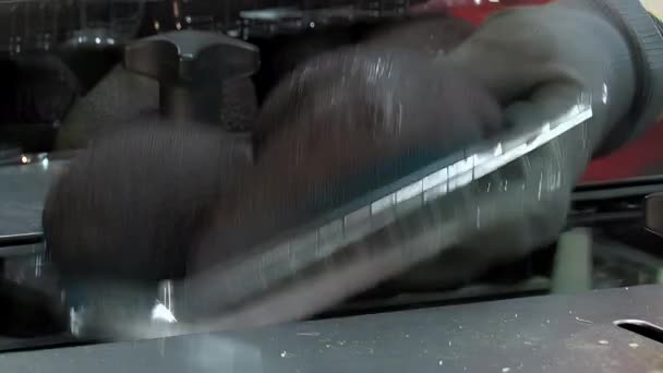 Εργαζόμενος τοποθετώντας δίσκους από ώριμα αβοκάντο σε μια γραμμή συσκευασίας - Πλάνα, βίντεο