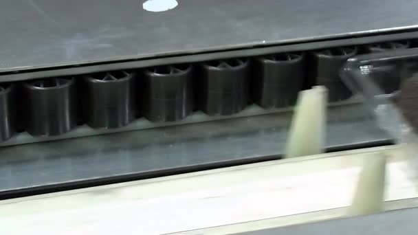Bir ambalaj kuyruğunda olgun avokado tepsileri - Video, Çekim