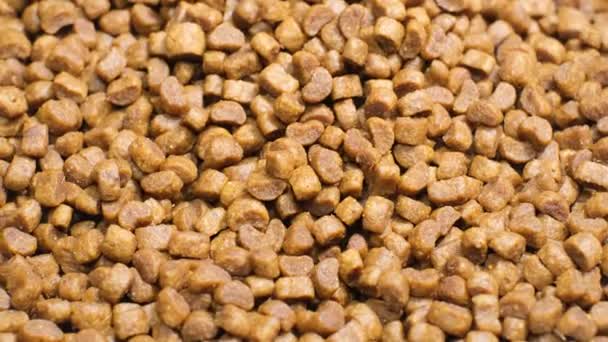 Close-up of pieces of dry cat food in a circular motion. Macro video. - Footage, Video
