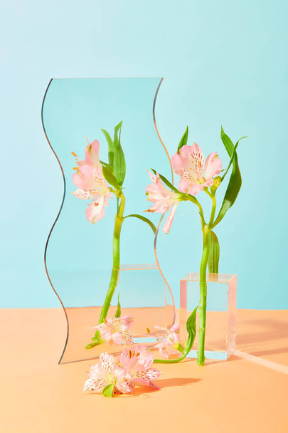 Ein frischer Blütenzweig spiegelt sich in einem Spiegel, ein transparentes Glaspodest und ein paar Blumen sind auf einem blau-rosa Hintergrund platziert. Szene für Werbung. - Foto, Bild