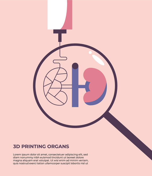 Modelo 3D de riñones humanos. Bioimpresión de órganos. Medicina del futuro. Ilustración vectorial plana en estilo de dibujos animados. - Vector, imagen