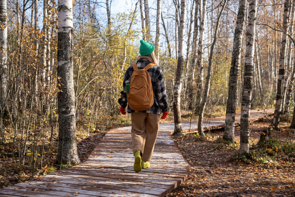 Mujer caminando en el parque de otoño en Escandinavia en ecotropo con sendero de madera, vista trasera. Mujer de mediana edad disfrutando de pasatiempo senderismo en el bosque, naturaleza del norte de Europa. Viajes, turismo, ansia de viajar. - Foto, imagen