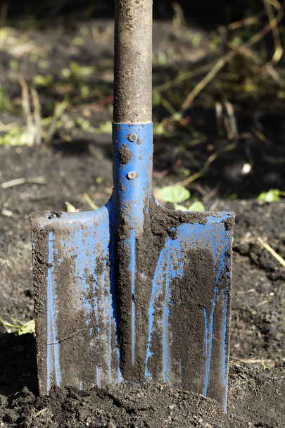 Tool shovel stuck ground - Φωτογραφία, εικόνα