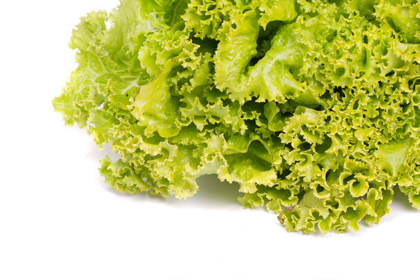 Fresh lettuce - Fotó, kép