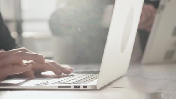 Крупним планом повільний знімок жіночих рук, що друкують інформацію в ноутбук в офісі в сонячний день - Кадри, відео