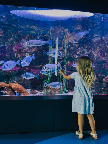 Little girl touches the glass of a large aquarium with floating fish with her hands. High quality photo - Photo, Image
