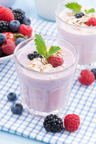 healthy berry smoothies with oatmeal, vertical - Φωτογραφία, εικόνα