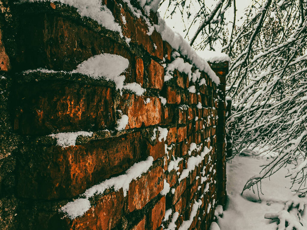 Snow-covered tree branches near a brick fence - Photo, Image