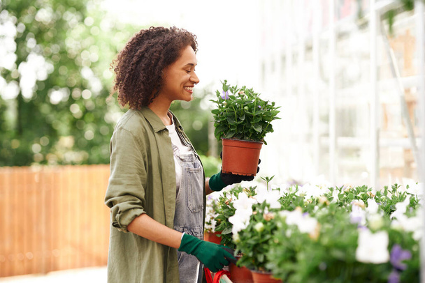 Mujer sonriente jardinero sosteniendo maceta mientras está de pie en el fondo del patio del invernadero - Foto, imagen