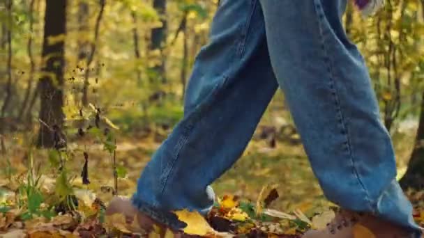 Close-up de pernas femininas andando em folhas amarelas no outono. Caminhando no parque ao ar livre na temporada de outono em um dia ensolarado. Imagens 4k de alta qualidade - Filmagem, Vídeo