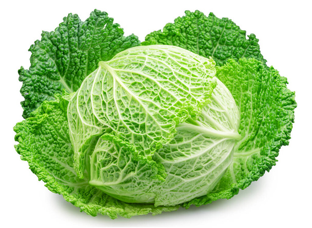 Savoy cabbage isolated on white background. File contains clipping path. - Photo, Image